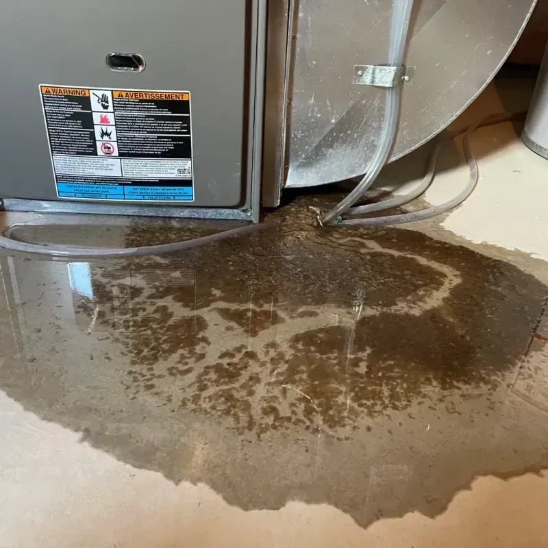 Appliance Leak Cleanup in Bluefield, VA